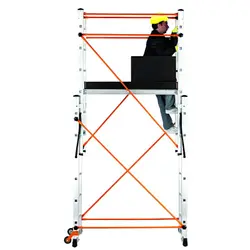 Svelt Regina 4WD Large Vip - Scala Professionale con Ruote guardacorpo e corrimano