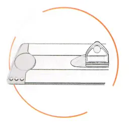 Dettaglio1