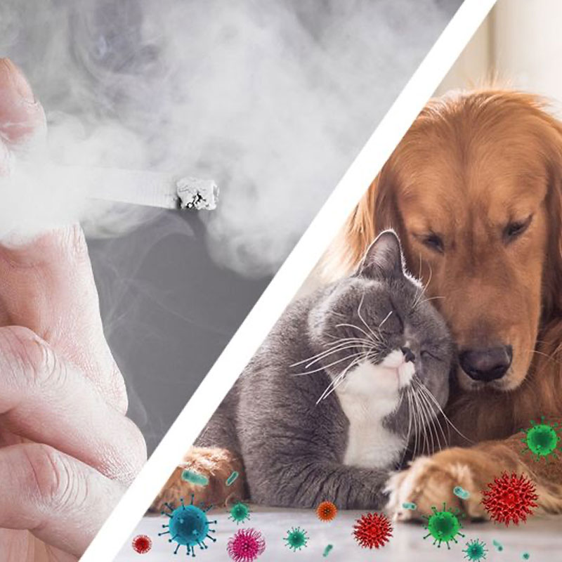 Trotec Airgoclean 100 E Allergènes et virus