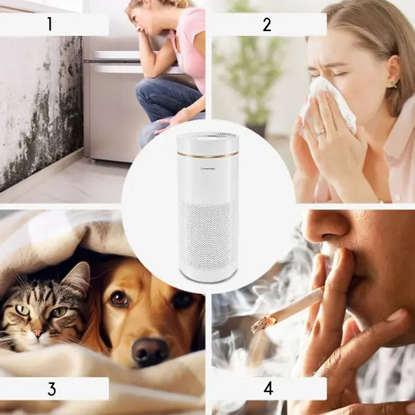 Trotec Airgoclean 170 E+ - Depuratore Aria Automatico