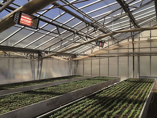 Varma WR2000/20 - Lampada radiante infrarossi