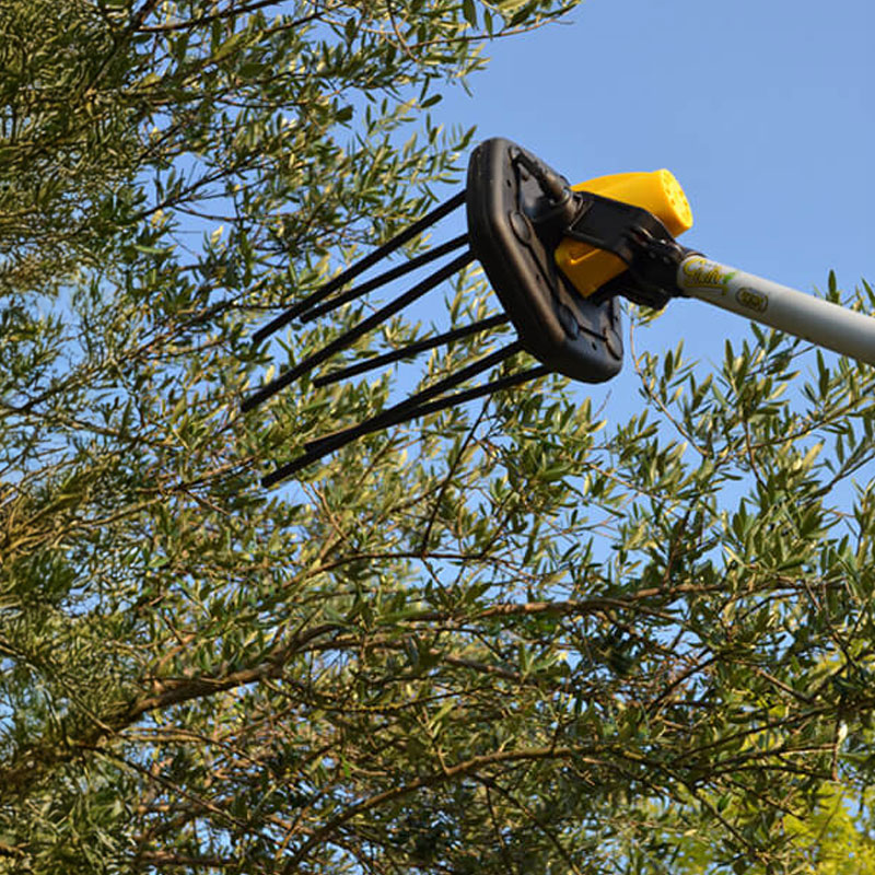 Volpi Giulivo Plus 705XL - Peigne à olives semi-professionnel à batterie 12 V