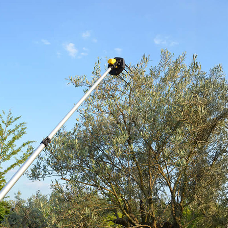 Volpi Giulivo Plus 705XL - Peigne à olives semi-professionnel à batterie 12 V