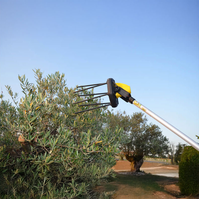 Volpi Giulivo Plus 705XL - Peigne à olives semi-professionnel à batterie 12 V