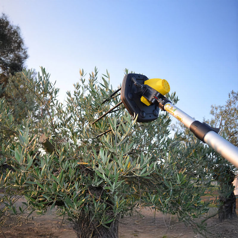Volpi Giulivo Plus 705XL - Peigne à olives semi-professionnel à batterie 12 V