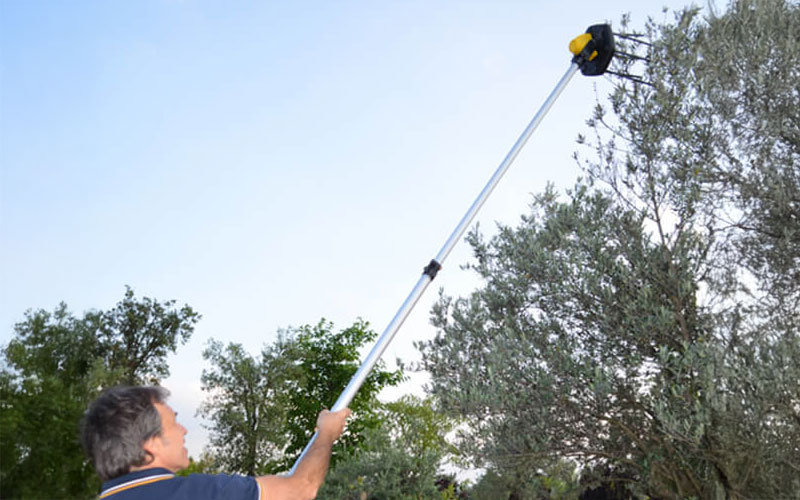 Volpi Giulivo Plus 705XL - Peigne à olives semi-professionnel à batterie