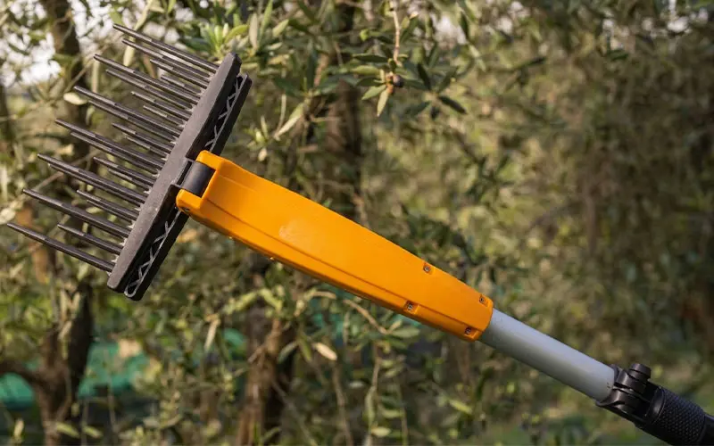 Volpi Olytech Dualcomb 13 - Abbacchiatore Telescopico a Batteria modello 355XL